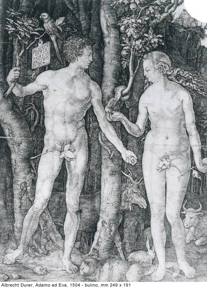 Dürer Lopera incisa dalla collezione di Novara Arti figurative